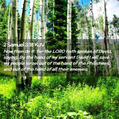 Picture 02 - 2 Samuel 3:18 KJV - Now then do it: for the LORD hath spoken of - Bible Verse Picture