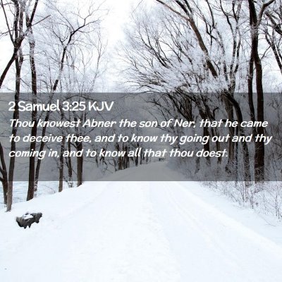 Picture 02 - 2 Samuel 3:25 KJV - Thou knowest Abner the son of Ner, that he came - Bible Verse Picture