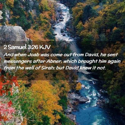 Picture 02 - 2 Samuel 3:26 KJV - And when Joab was come out from David, he sent - Bible Verse Picture