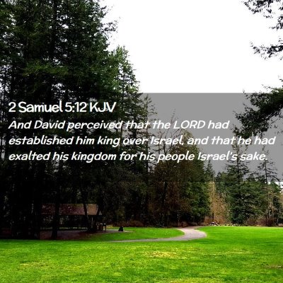 Picture 02 - 2 Samuel 5:12 KJV - And David perceived that the LORD had established - Bible Verse Picture