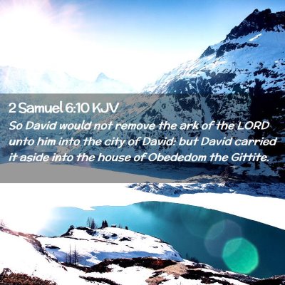 Picture 02 - 2 Samuel 6:10 KJV - So David would not remove the ark of the LORD - Bible Verse Picture