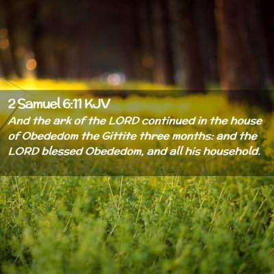 Picture 02 - 2 Samuel 6:11 KJV - And the ark of the LORD continued in the house of - Bible Verse Picture