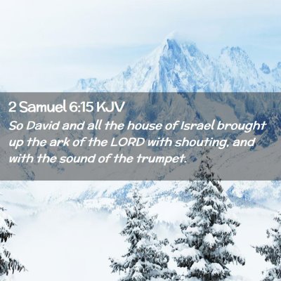 Picture 02 - 2 Samuel 6:15 KJV - So David and all the house of Israel brought up - Bible Verse Picture
