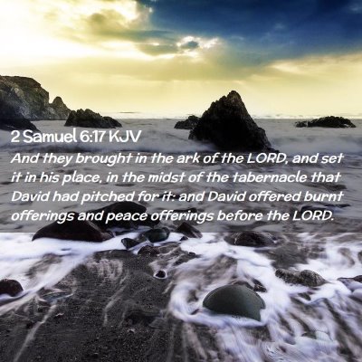 Picture 02 - 2 Samuel 6:17 KJV - And they brought in the ark of the LORD, and set - Bible Verse Picture