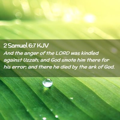 Picture 02 - 2 Samuel 6:7 KJV - And the anger of the LORD was kindled against - Bible Verse Picture