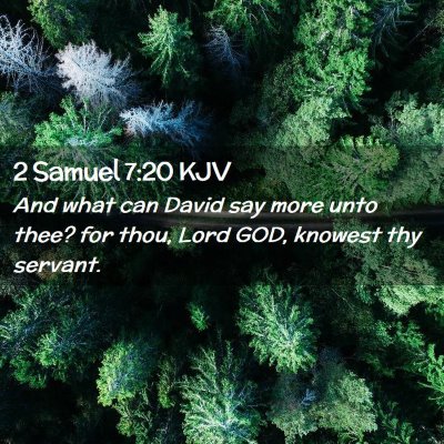 Picture 02 - 2 Samuel 7:20 KJV - And what can David say more unto thee? for thou, - Bible Verse Picture