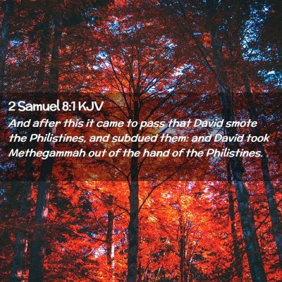 Picture 02 - 2 Samuel 8:1 KJV - And after this it came to pass that David smote - Bible Verse Picture