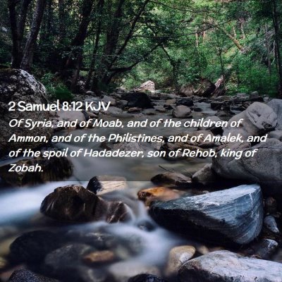 Picture 02 - 2 Samuel 8:12 KJV - Of Syria, and of Moab, and of the children of - Bible Verse Picture