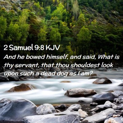 Picture 02 - 2 Samuel 9:8 KJV - And he bowed himself, and said, What is thy - Bible Verse Picture