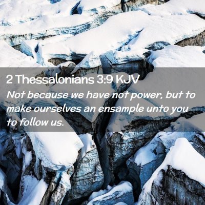 Picture 02 - 2 Thessalonians 3:9 KJV - Not because we have not power, but to make - Bible Verse Picture