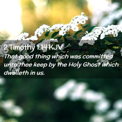 Picture 02 - 2 Timothy 1:14 KJV - That good thing which was committed unto thee - Bible Verse Picture