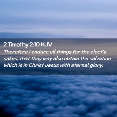 Picture 02 - 2 Timothy 2:10 KJV - Therefore I endure all things for the elect's - Bible Verse Picture