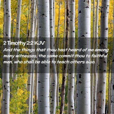 Picture 02 - 2 Timothy 2:2 KJV - And the things that thou hast heard of me among - Bible Verse Picture