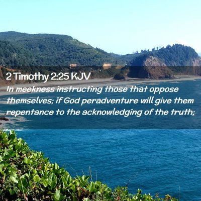 Picture 02 - 2 Timothy 2:25 KJV - In meekness instructing those that oppose - Bible Verse Picture