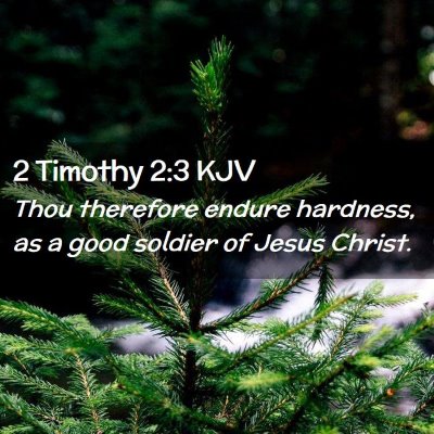 Picture 02 - 2 Timothy 2:3 KJV - Thou therefore endure hardness, as a good soldier - Bible Verse Picture