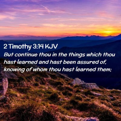 Picture 02 - 2 Timothy 3:14 KJV - But continue thou in the things which thou hast - Bible Verse Picture