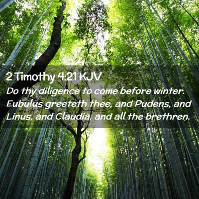 Picture 02 - 2 Timothy 4:21 KJV - Do thy diligence to come before winter. Eubulus - Bible Verse Picture