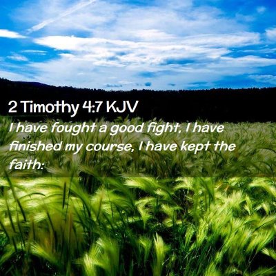 Picture 02 - 2 Timothy 4:7 KJV - I have fought a good fight, I have finished my - Bible Verse Picture