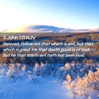 Picture 02 - 3 John 1:11 KJV - Beloved, follow not that which is evil, but that - Bible Verse Picture