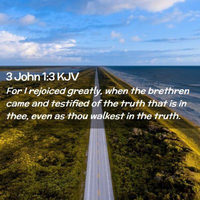 Picture 02 - 3 John 1:3 KJV - For I rejoiced greatly, when the brethren came - Bible Verse Picture
