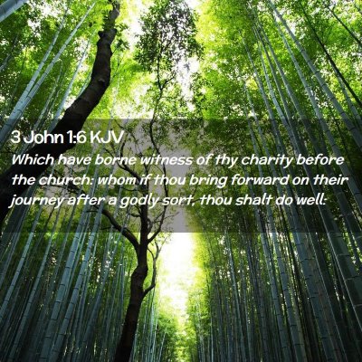 Picture 02 - 3 John 1:6 KJV - Which have borne witness of thy charity before - Bible Verse Picture
