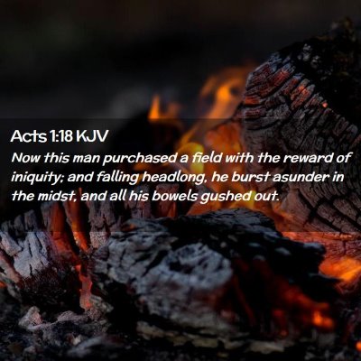 Picture 02 - Acts 1:18 KJV - Now this man purchased a field with the reward of - Bible Verse Picture