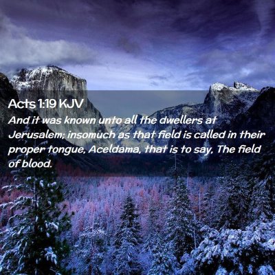 Picture 02 - Acts 1:19 KJV - And it was known unto all the dwellers at - Bible Verse Picture