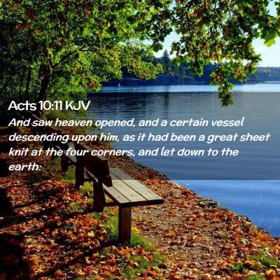 Picture 02 - Acts 10:11 KJV - And saw heaven opened, and a certain vessel - Bible Verse Picture