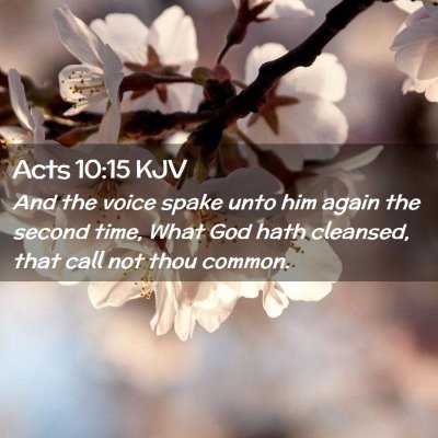 Picture 02 - Acts 10:15 KJV - And the voice spake unto him again the second - Bible Verse Picture