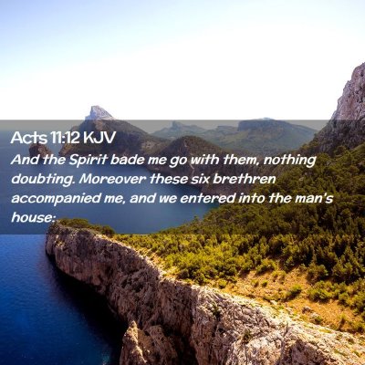 Picture 02 - Acts 11:12 KJV - And the Spirit bade me go with them, nothing - Bible Verse Picture
