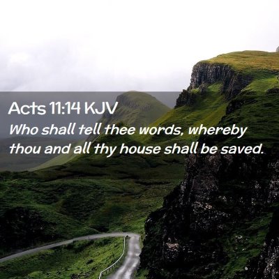 Picture 02 - Acts 11:14 KJV - Who shall tell thee words, whereby thou and all - Bible Verse Picture