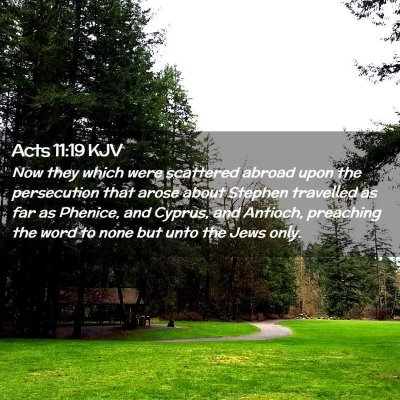Picture 02 - Acts 11:19 KJV - Now they which were scattered abroad upon the - Bible Verse Picture
