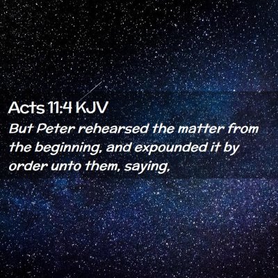 Picture 02 - Acts 11:4 KJV - But Peter rehearsed the matter from the - Bible Verse Picture