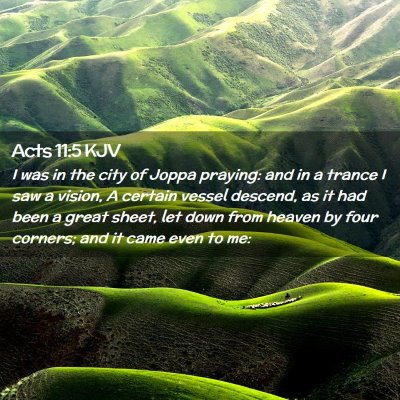 Picture 02 - Acts 11:5 KJV - I was in the city of Joppa praying: and in a - Bible Verse Picture