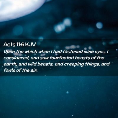 Picture 02 - Acts 11:6 KJV - Upon the which when I had fastened mine eyes, I - Bible Verse Picture