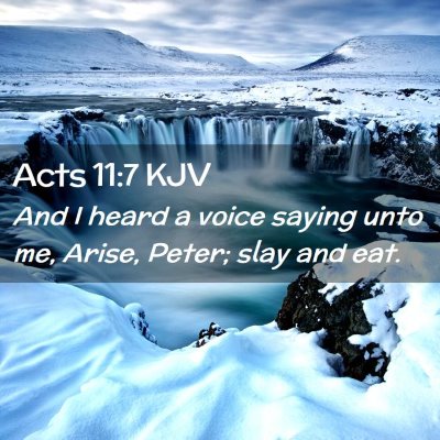 Picture 02 - Acts 11:7 KJV - And I heard a voice saying unto me, Arise, Peter; - Bible Verse Picture