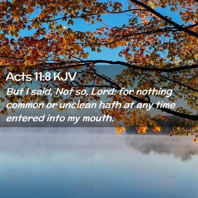 Picture 02 - Acts 11:8 KJV - But I said, Not so, Lord: for nothing common or - Bible Verse Picture