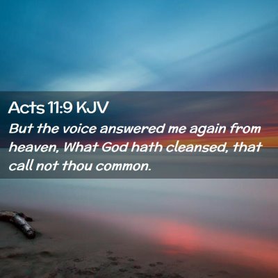 Picture 02 - Acts 11:9 KJV - But the voice answered me again from heaven, What - Bible Verse Picture