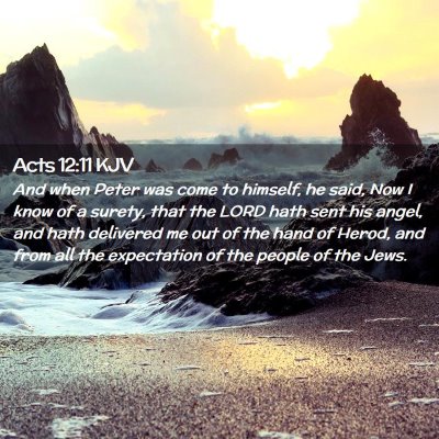 Picture 02 - Acts 12:11 KJV - And when Peter was come to himself, he said, Now - Bible Verse Picture