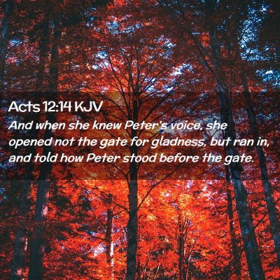Picture 02 - Acts 12:14 KJV - And when she knew Peter's voice, she opened not - Bible Verse Picture