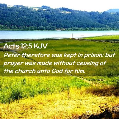 Picture 02 - Acts 12:5 KJV - Peter therefore was kept in prison: but prayer - Bible Verse Picture