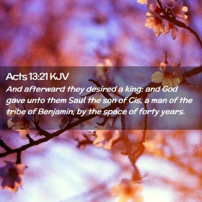 Picture 02 - Acts 13:21 KJV - And afterward they desired a king: and God gave - Bible Verse Picture
