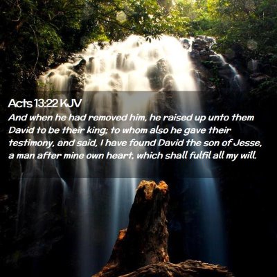 Picture 02 - Acts 13:22 KJV - And when he had removed him, he raised up unto - Bible Verse Picture
