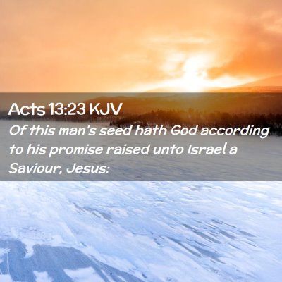 Picture 02 - Acts 13:23 KJV - Of this man's seed hath God according to his - Bible Verse Picture