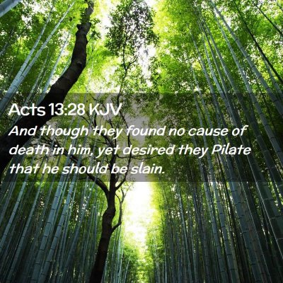 Picture 02 - Acts 13:28 KJV - And though they found no cause of death in him, - Bible Verse Picture