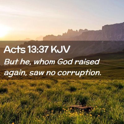 Picture 02 - Acts 13:37 KJV - But he, whom God raised again, saw no - Bible Verse Picture