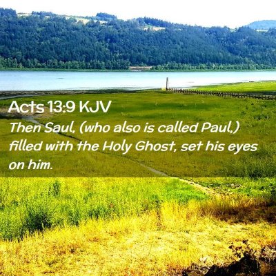 Picture 02 - Acts 13:9 KJV - Then Saul, (who also is called Paul,) filled with - Bible Verse Picture