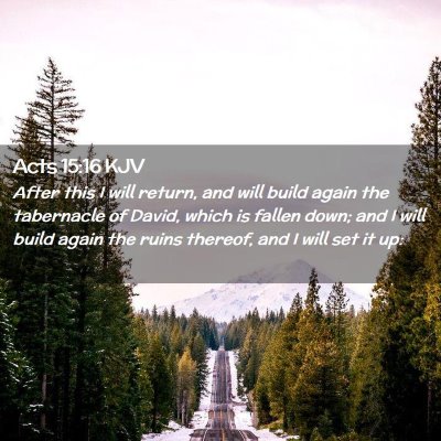 Picture 02 - Acts 15:16 KJV - After this I will return, and will build again - Bible Verse Picture