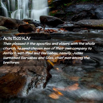 Picture 02 - Acts 15:22 KJV - Then pleased it the apostles and elders with the - Bible Verse Picture