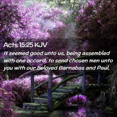 Picture 02 - Acts 15:25 KJV - It seemed good unto us, being assembled with one - Bible Verse Picture